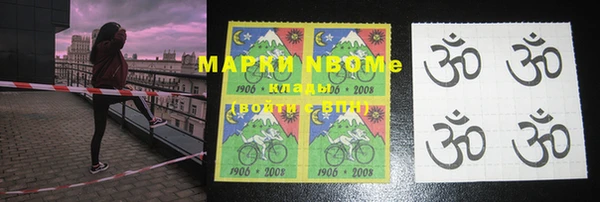 apvp Вяземский