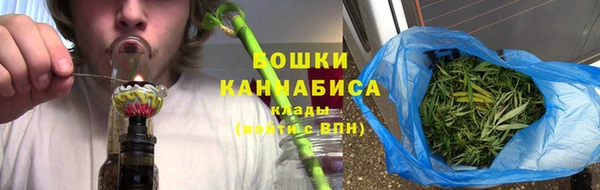 apvp Вяземский