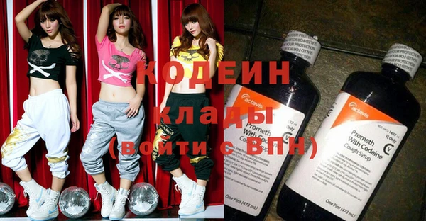 apvp Вяземский