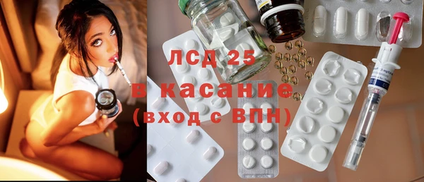 apvp Вяземский