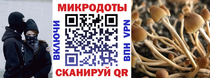 Псилоцибиновые грибы мицелий купить наркотик Долгопрудный