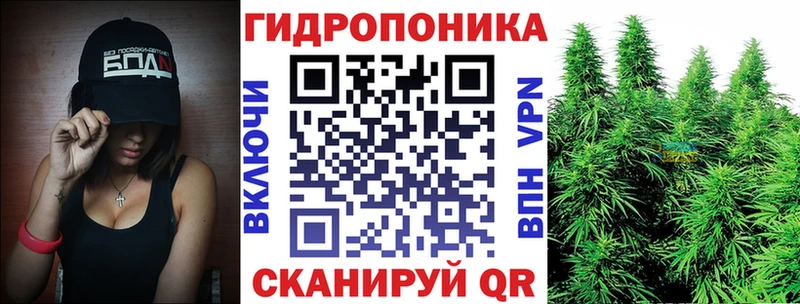 сколько стоит Долгопрудный Бошки Шишки OG Kush